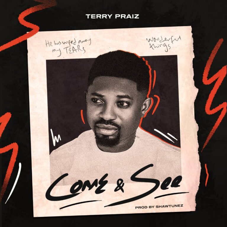 New Music – Come and See – Terry Praiz